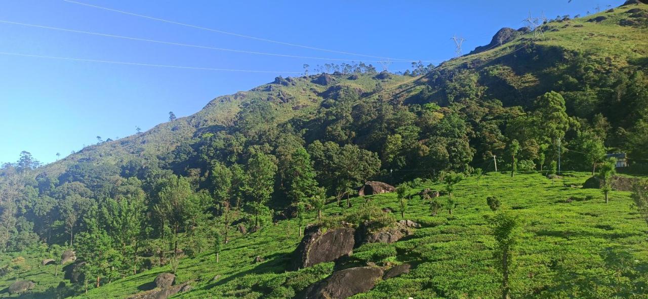 Tea Dale - All Rooms With Tea Estate View Munnar Exteriör bild