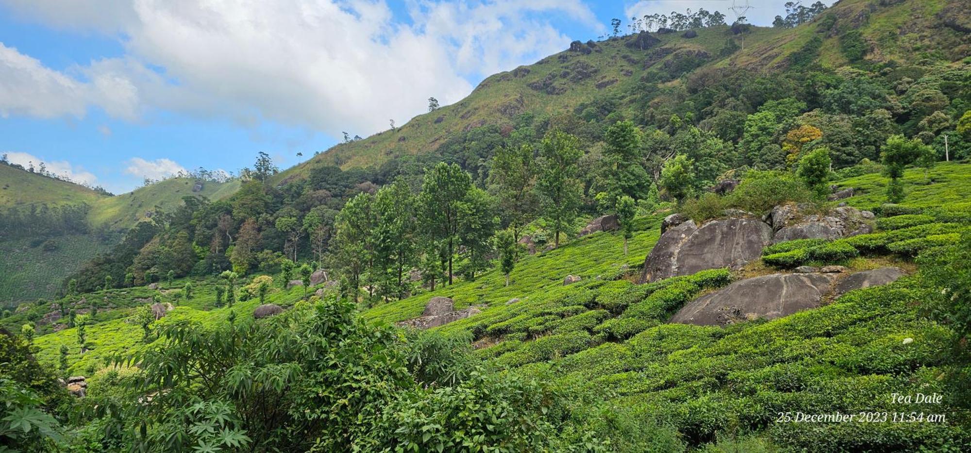 Tea Dale - All Rooms With Tea Estate View Munnar Exteriör bild