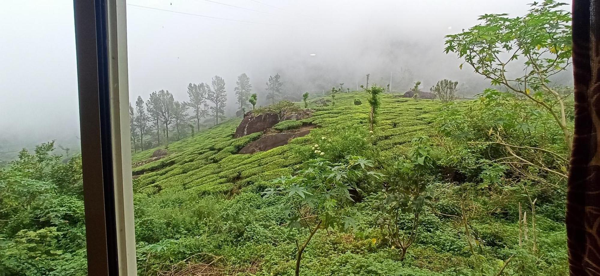 Tea Dale - All Rooms With Tea Estate View Munnar Exteriör bild