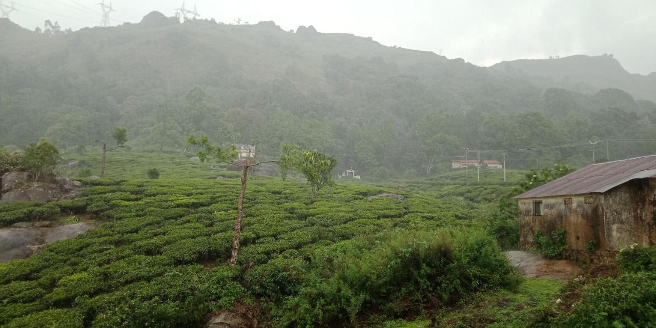 Tea Dale - All Rooms With Tea Estate View Munnar Exteriör bild