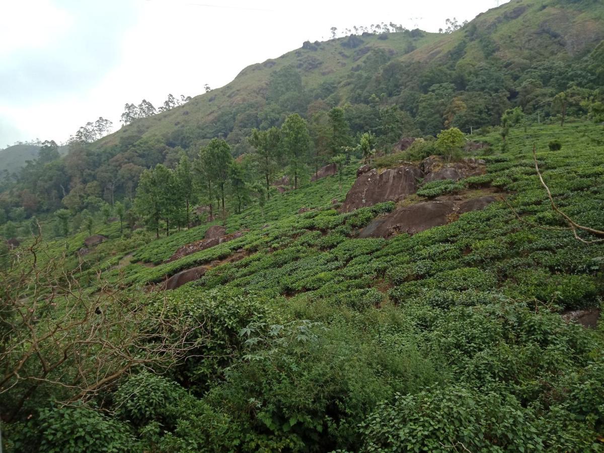 Tea Dale - All Rooms With Tea Estate View Munnar Exteriör bild