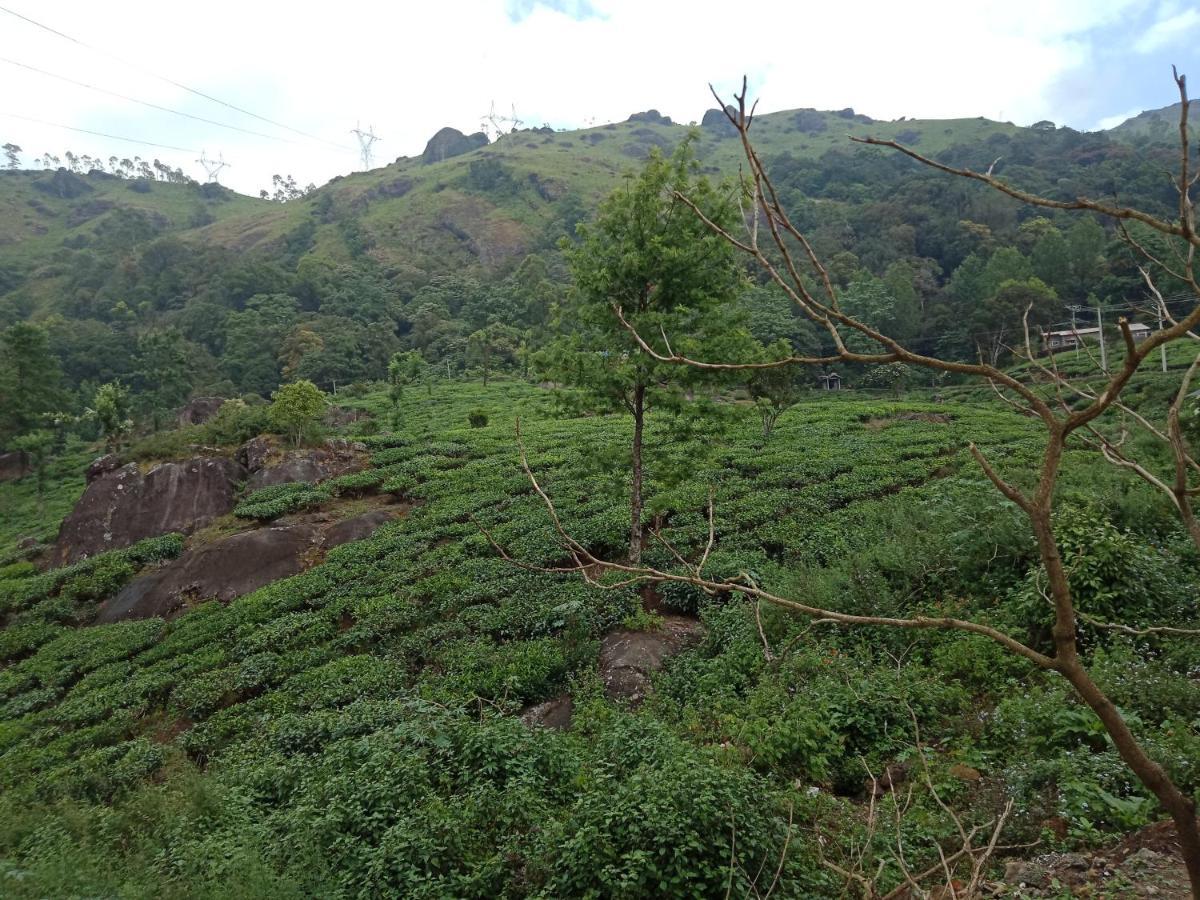 Tea Dale - All Rooms With Tea Estate View Munnar Exteriör bild