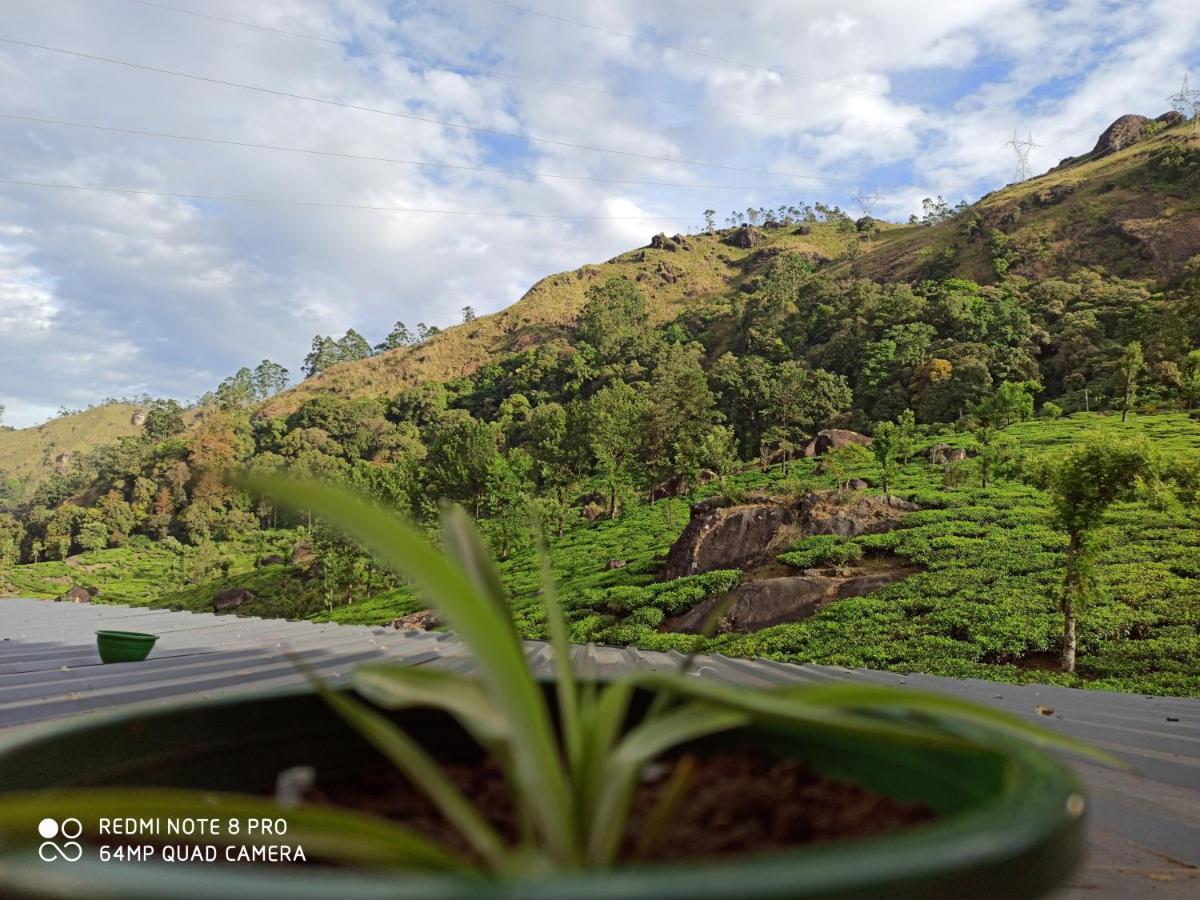 Tea Dale - All Rooms With Tea Estate View Munnar Exteriör bild